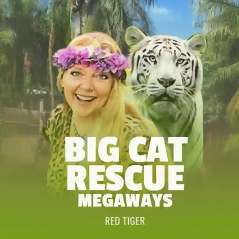 Big Cat Rescue